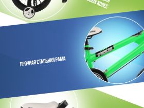 Детский велосипед Royal Baby Freestyle 14, год 2024, цвет Зеленый