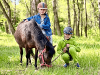 Конный клуб «Рыжая лошадь» г. Абакана