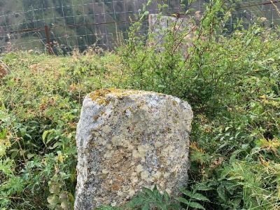 Стела № 16 раннемусульманского кладбища № 2 архитектурного комплекса "Мусийкъонгийкоте"