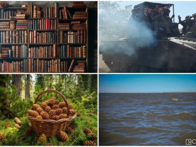 Обзор интересных и популярных новостей за 23 августа в Якутии