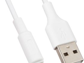 C37A Apple Lightning White