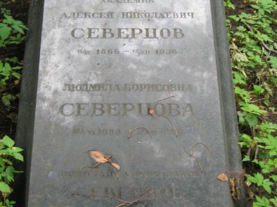 Могила Северцова Алексея Николаевича (1866-1936)