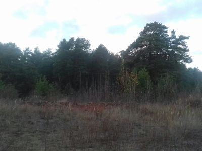 Спасо-Преображенская церковь (деревянная)