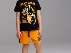 Комплект трикотажный для мальчиков: фуфайка (футболка), шорты