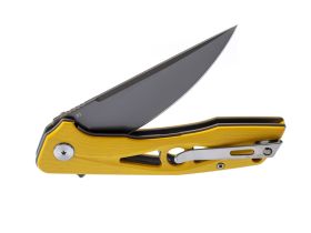 Складной нож Bestech Eye of Ra Yellow , сталь D2, G10