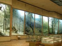 Естественно-научный музей Ильменского заповедника