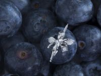 Подвеска из серебра с бриллиантом э0601пд02155000