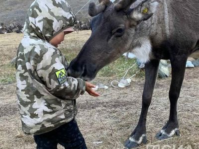 Видео: двухлетняя потомственная девочка-оленевод заваривает северный чай