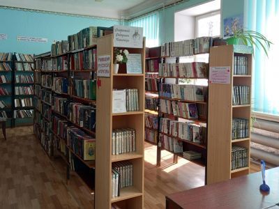 Библиотека № 17 им. Ф. Ф. Павленкова с. Фоки