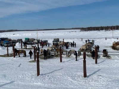 Андрей Находкин: «Партийный проект «Российское село» продолжит поддержку коневодства в Якутии»