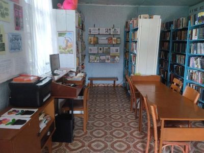 Степно-Баджейская сельская библиотека