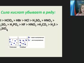 Международный вебинар "Важнейшие классы неорганических веществ. Кислоты. Соли"