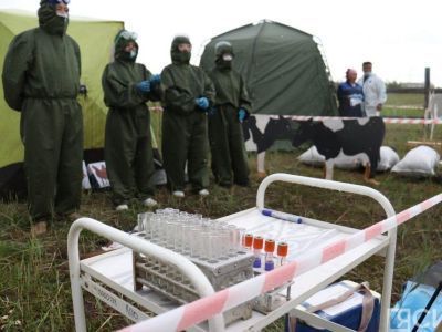 Ликвидацию очага заболевания крупного рогатого скота отработали в Якутске