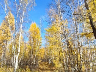 В Среднеколымском районе Якутии ищут пропавшего три месяца назад мужчину