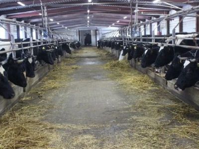 Федор Чердонов: Каким был 2021 год для аграриев Олекминского района Якутии