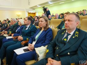 Якутия стала лидером по восстановлению лесов после пожаров среди регионов ДФО