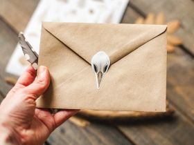 Стикеры Дворникова А. "Птичий череп и листья"