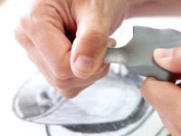 Ластик-клячка Acmeliae