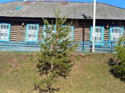 Мосаринский сельский дом культуры