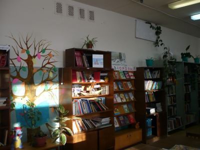 Бурмакинская сельская библиотека