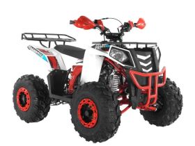 Квадроцикл WELS Thunder Evo X ST