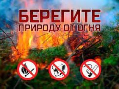 Правила безопасного поведения в лесных массивах