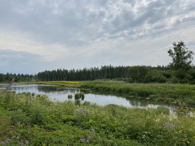 Пруд Брандовский