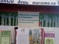 Библиотека-филиал № 6 д. Ничково