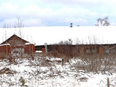 Конный и скотный двор с молочной избой
