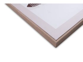 Картина Экзотик Пальма Коричневый 60x80