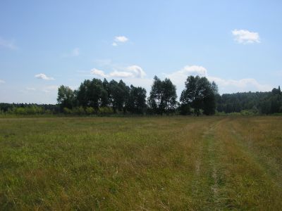 Священная роща