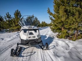 Снегоход БТС Arctic 4Т New Люкс 20 л.с. э/зап , реверс, тормоз, улучшенная подвеска