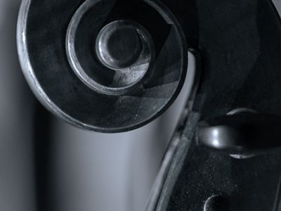 Созвездие молодых. Концерт