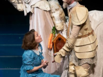 Алиса в Зазеркалье