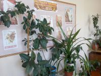 Бутырский сельский дом культуры