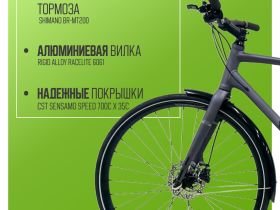 Дорожный велосипед Atom Symbiotic Speed, год 2024, цвет Серый, ростовка 21.5