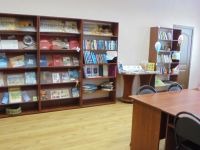 Дмитриевская модельная библиотека