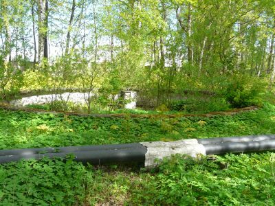 Фонтан и ворота