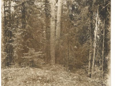 Памятное место "Красный Яр" - место нелегальных революционных собраний