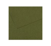 Бумага для пастели Canson "MI-TEINTES" 21x29,7 см 160 г №448 плющ