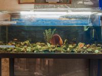 Музей скоростей г. Чкаловск