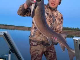 Рыбалка на Лене в районе устья реки Вилюй.  Трофейная рыбалка (щука, ленский осетр) с проживанием в турбазе.