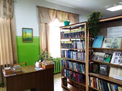 Пудемская сельская библиотека