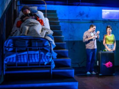 Как Зоя гусей кормила