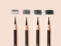 Набор угольных карандашей Dmast 10 штук ассорти в картонной упаковке