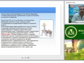 Международный вебинар "Управление профессиональными рисками"