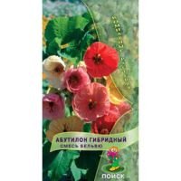 Абутилон гибридный Смесь Бельвю