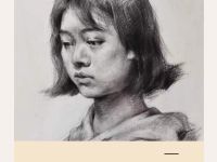 Набор угольных карандашей Dmast 10 штук ассорти в картонной упаковке