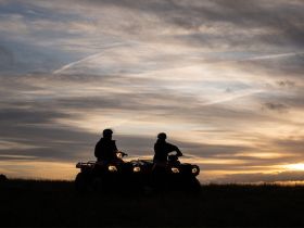 Квадроцикл HONDA TRX520 (ПСМ)