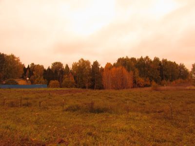 Священная роща